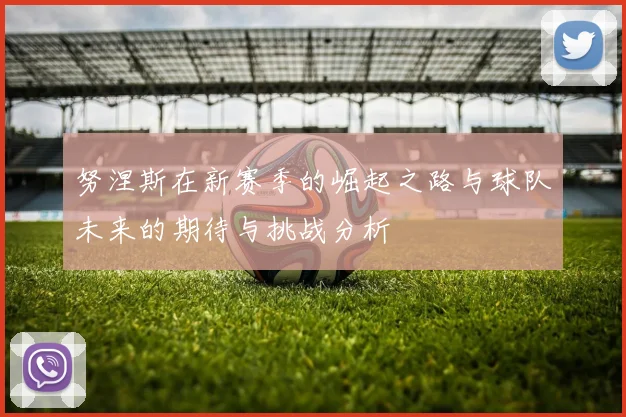 努涅斯在新赛季的崛起之路与球队未来的期待与挑战分析