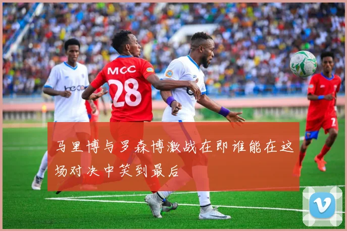 马里博与罗森博激战在即谁能在这场对决中笑到最后